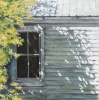 Afternoon Light by David Parkes